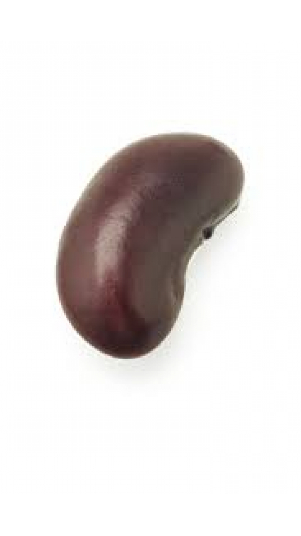 Bean-Chan